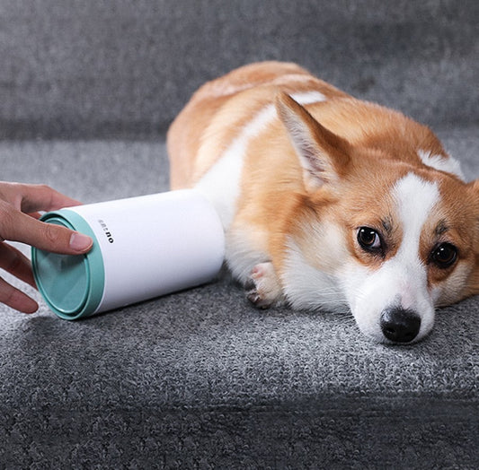 Petlich Paw Cleaner Cup – Portable Silicone Brush for Dogs & Cats