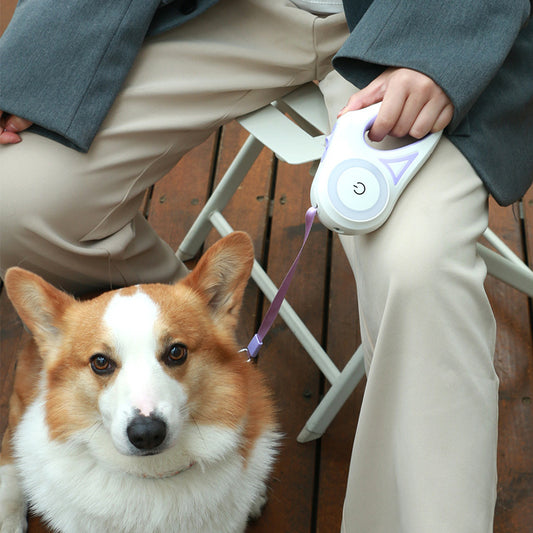 GlowPaws™ Retractable Leash – Safe Night Walks with Collar