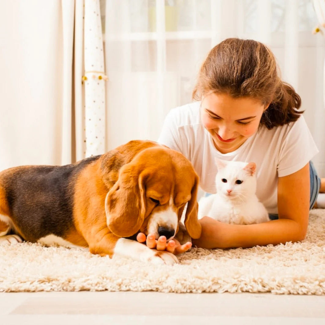 Woman lying on a carpet with a dog and a cat, smiling.